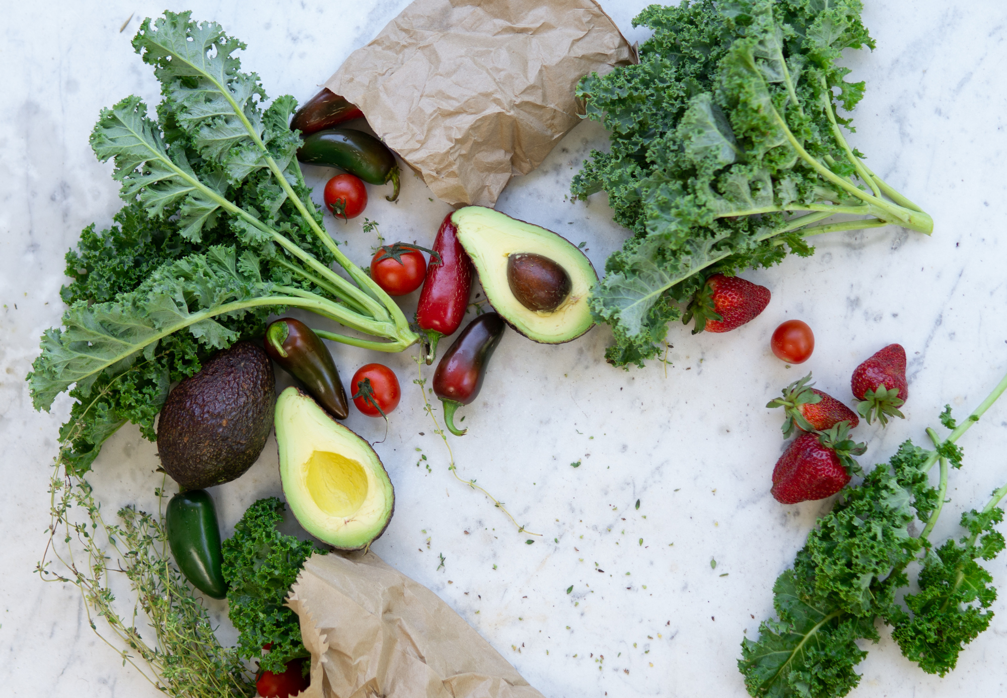 Oncology Nutrition