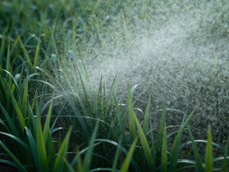 aim 81866 corpo O risco dos pesticidas pode não estar em cada um, mas na mistura